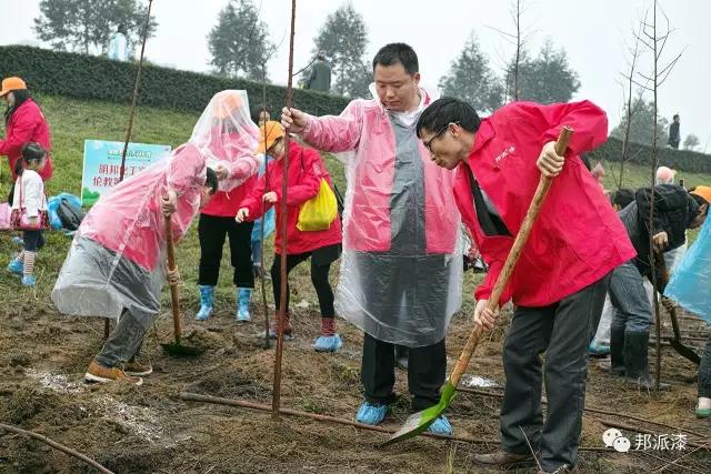 【ag8旗舰厅化工】3月12日牵手 “绿城飞花 美哉伦教”植树节